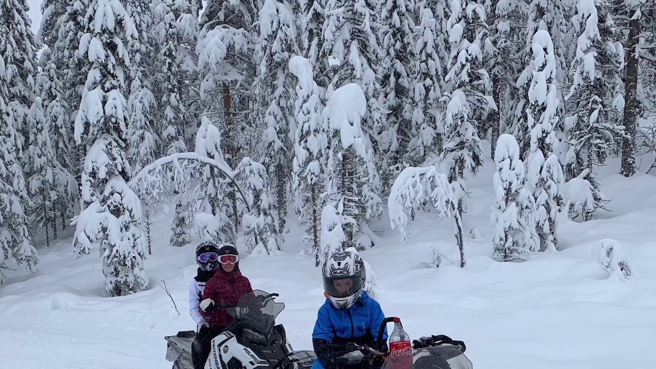 S&auml;rna Ny&aring;rsafton 2020