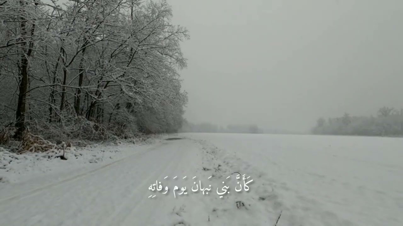 كذا فليجل الخطب وليفدح الأمر | بصوت جميل