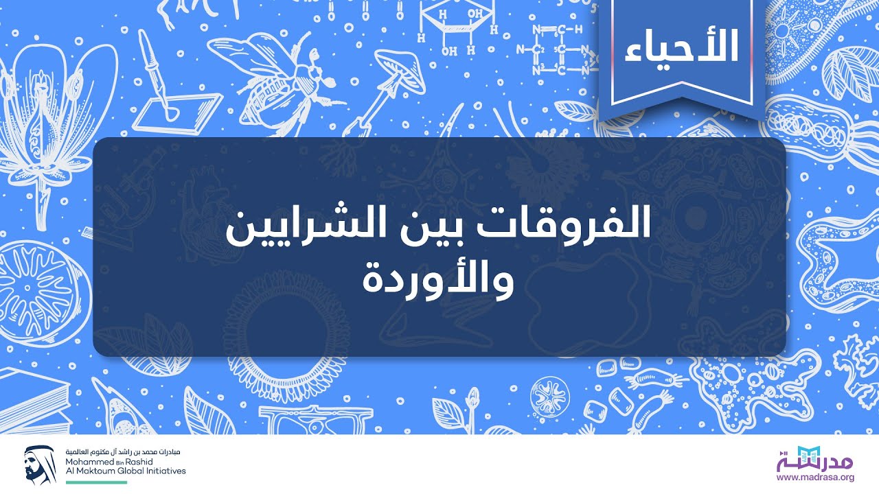 الفروقات بین الشرایین والأوردة | الأحیاء | فسیولوجیا الجھاز الدوري