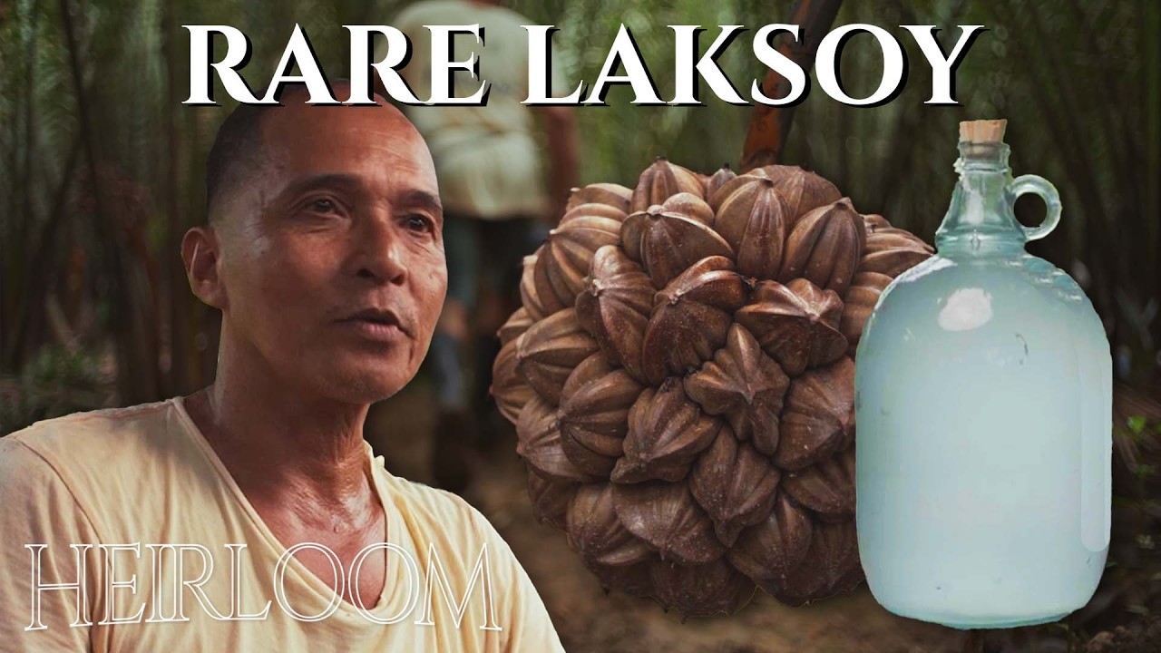 Pre-Colonial Lambanog Alcohol of the Philippines (Laksoy)