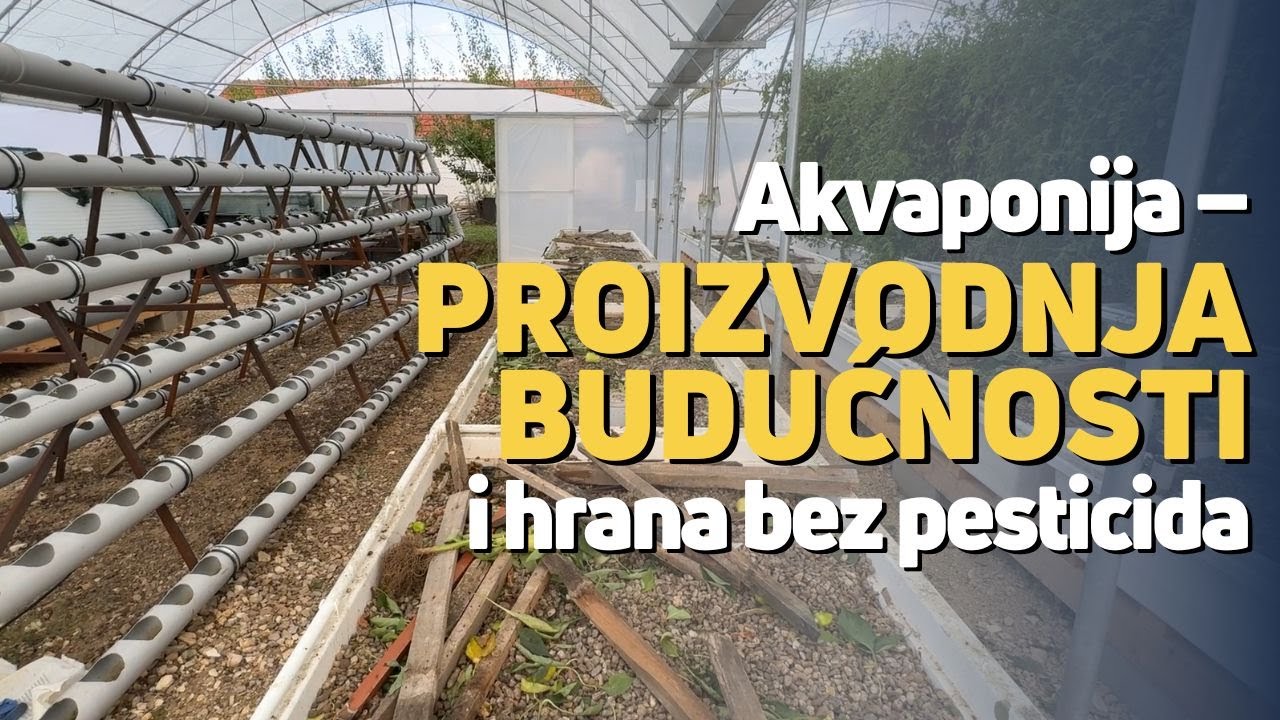 Akvaponija – proizvodnja budućnosti i hrana bez pesticida