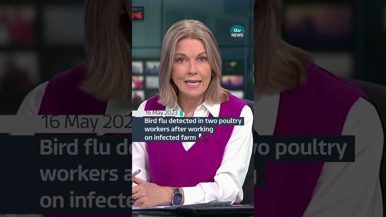 Bird flu detected in two poultry workers after working on infected farm #itvnews #birdflu