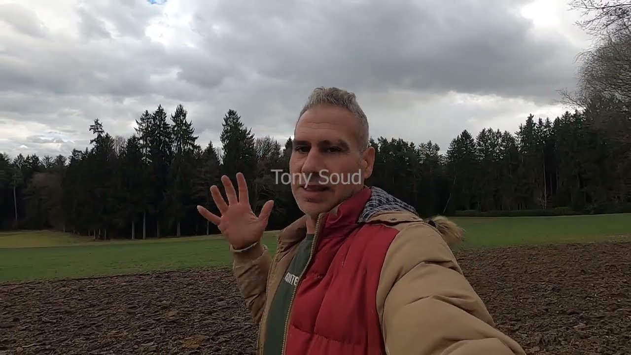 اسس نجاح التقسيم وزراعة الكؤوس الملكية .