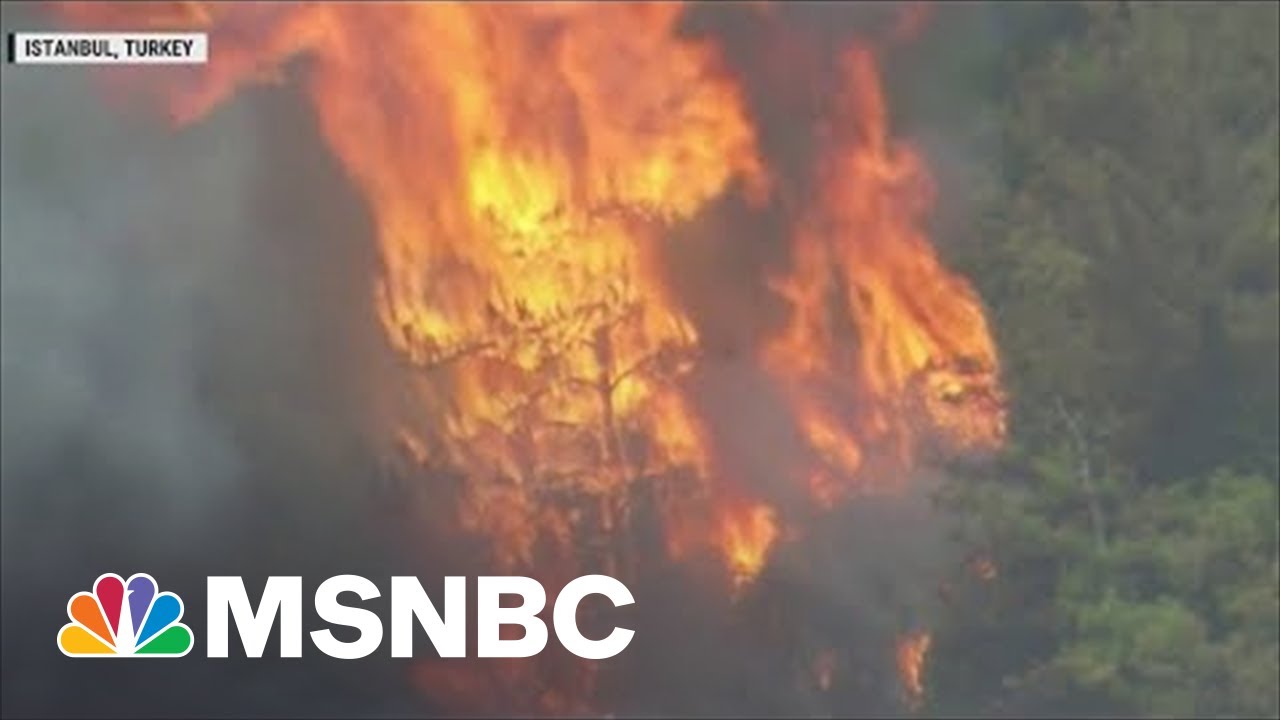 U.N. Climate Report Is A 'Code Red For Humanity'