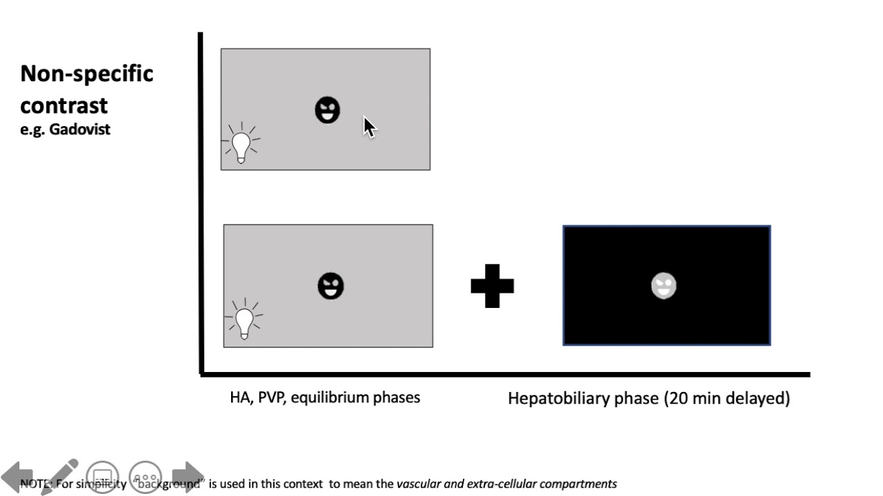 GIT - Basics MR liver-specific contrast (1/5) - Primovist, Eovist : simplified