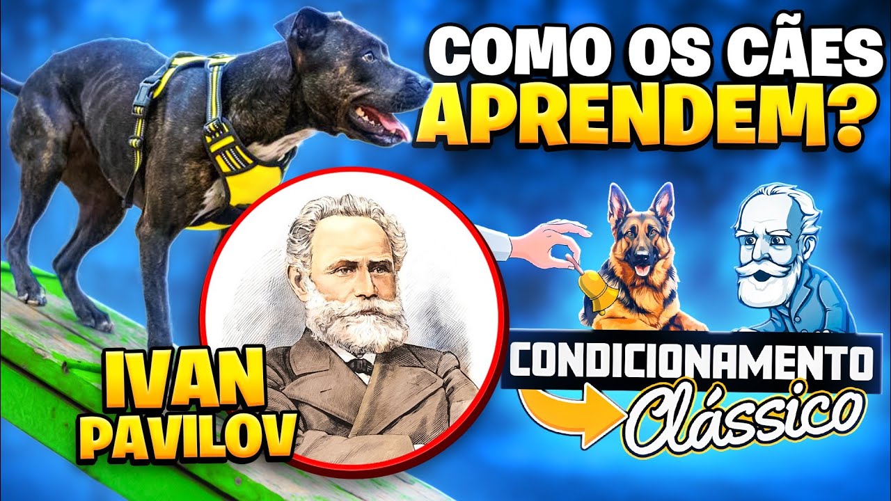 O SEGREDO PARA TREINAR CÃES EM ALTO NÍVEL