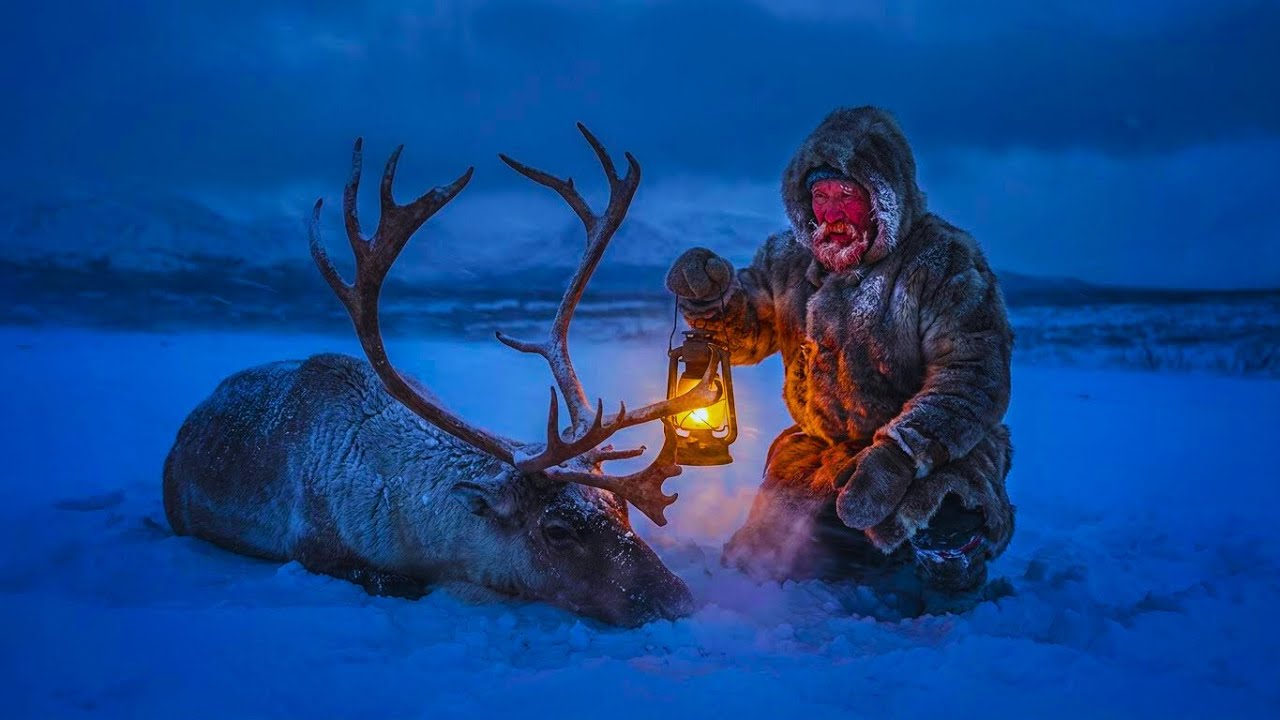 A reindeer collapses in a Siberian snowstorm at -71°C | A man struggles to keep it alive