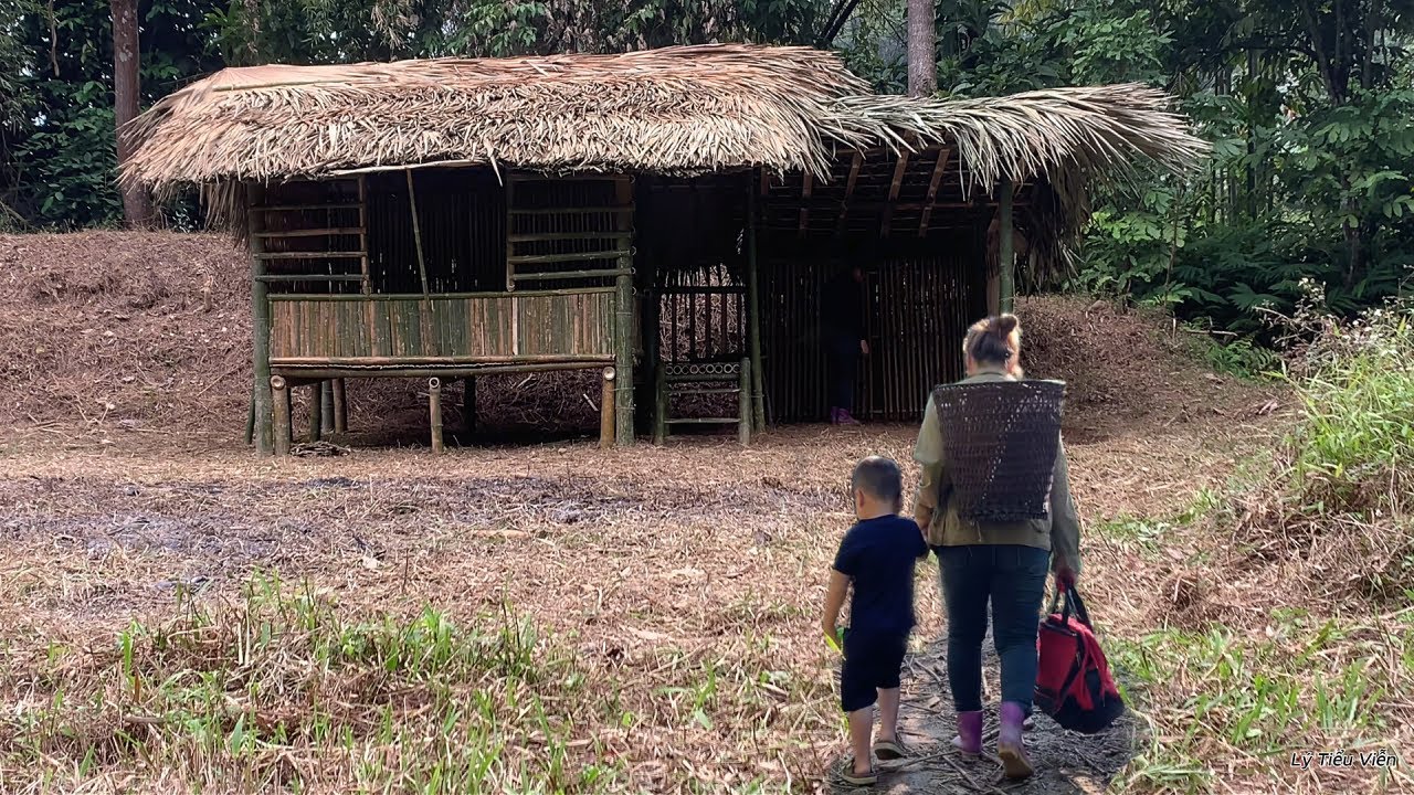 TIME LAPSE: 210 days of the journey from wandering to building a complete bamboo house.