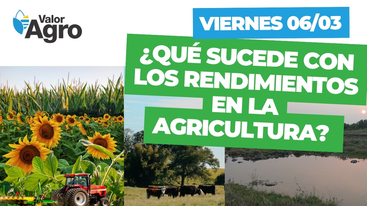 VALOR AGRO - Viernes 06/03 - Agricultura, ganadería, mercados y más.