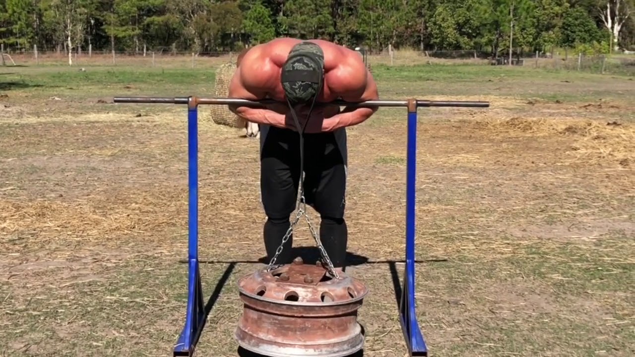 Operation Tactical Hypertrophy Update