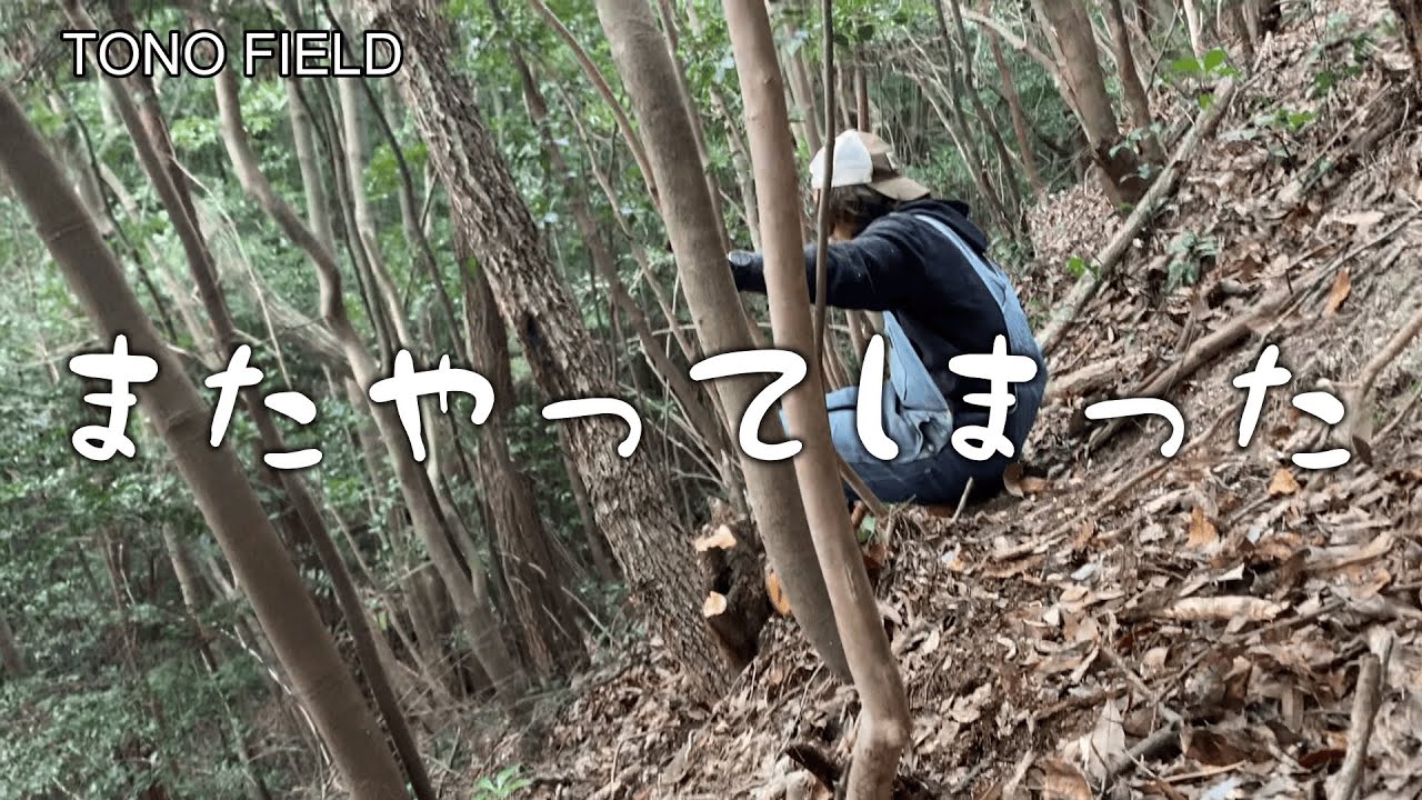 倒れない木と格闘した日｜原木しいたけのための伐採