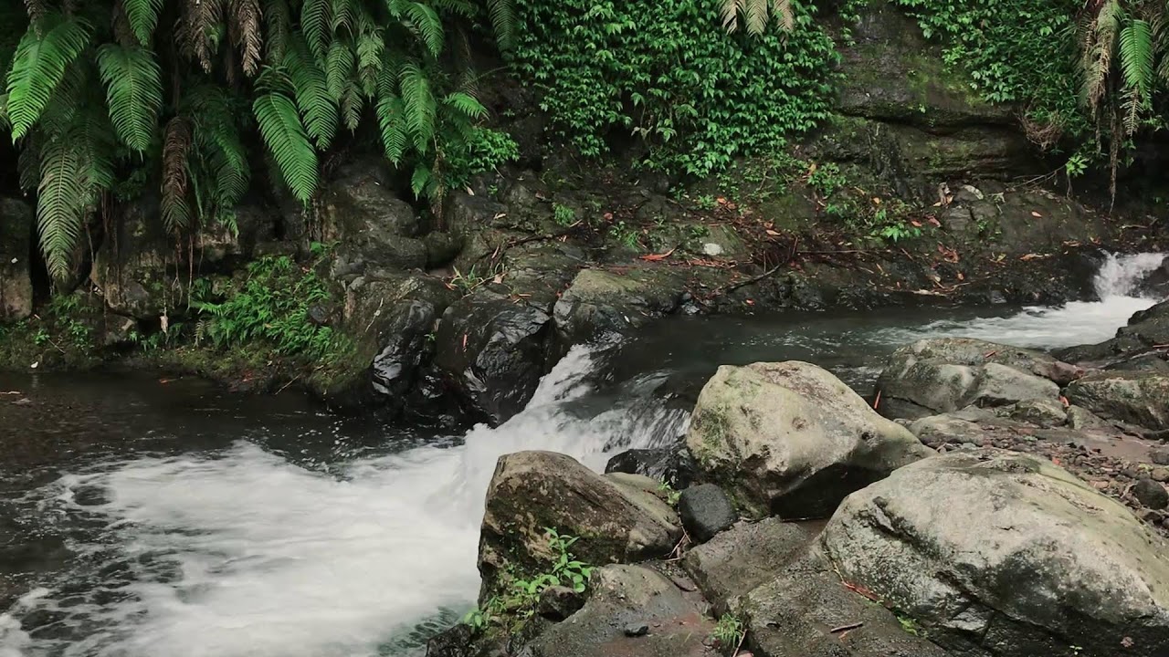 Gentle River Atmosphere for Better Sleep, Mental Healing