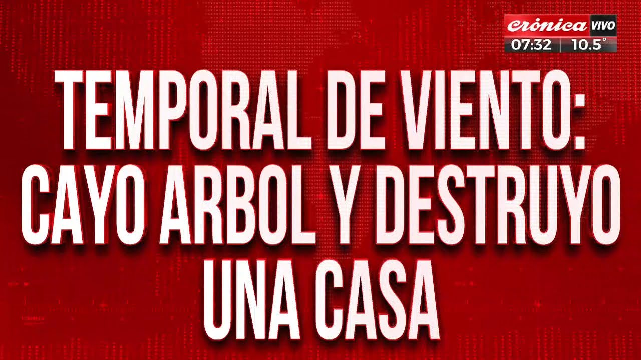TEMPORAL DE VIENTO: &Aacute;rbol destruy&oacute; casa en San Isidro