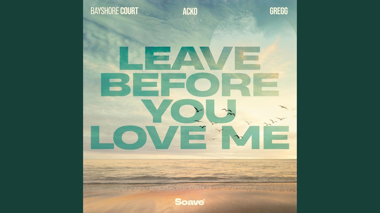 Leave Before You Love Me