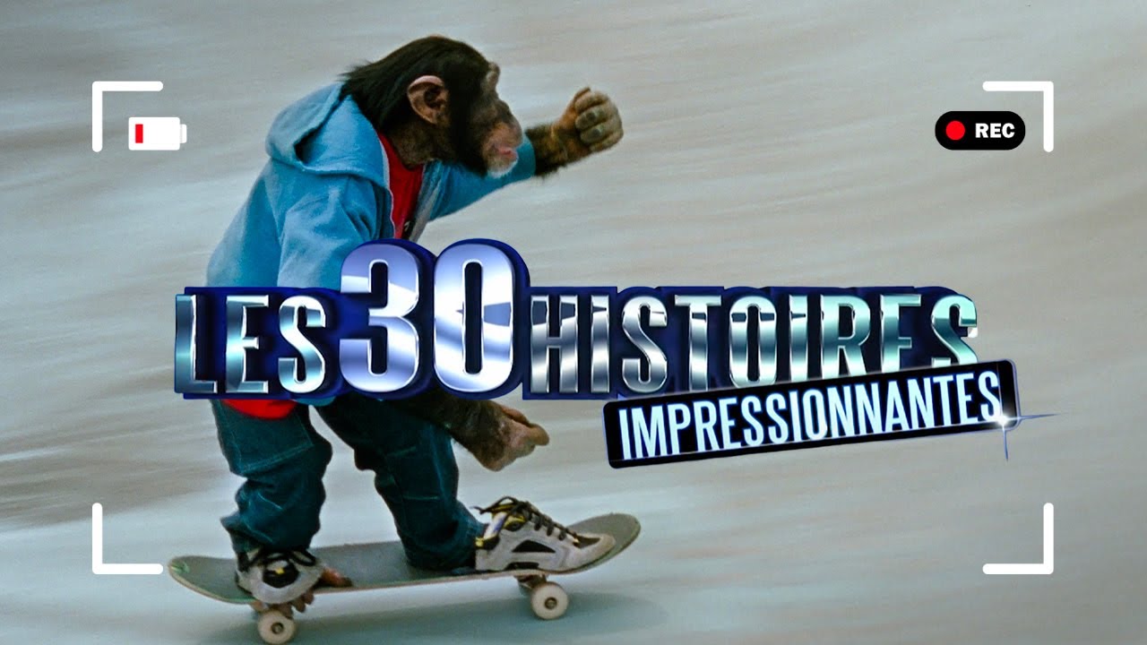 C'est compl&egrave;tement FOU 😳 - Les 30 histoires IMPRESSIONANTES  - PI517