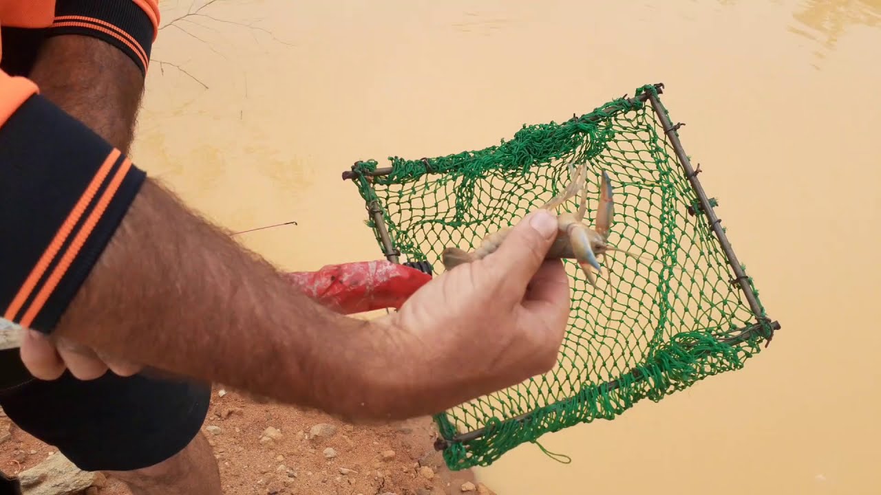 Yabbie Trapping [ testing DIFFERENT baits]