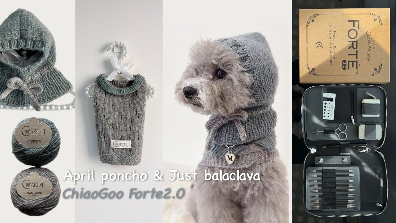 Knitting vlog (sub)ㅣ🐶강아지 판쵸 & 바라클라바 뜨기🩶ㅣ앵콜스 팝업🪡치아오구 포르테2.0 언박싱