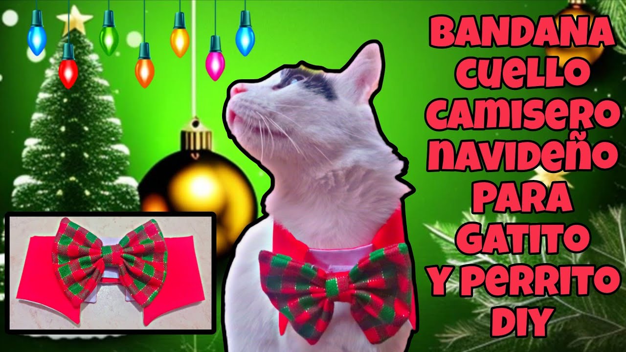 BANDANA CUELLO CAMISERO NAVIDEÑO PARA PERRO Y GATO DIY 