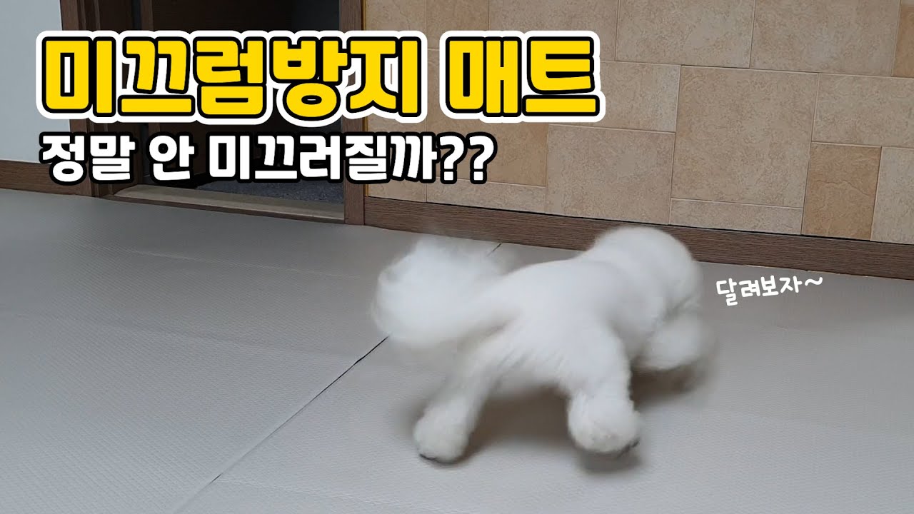 강아지매트 디팡 솔직후기