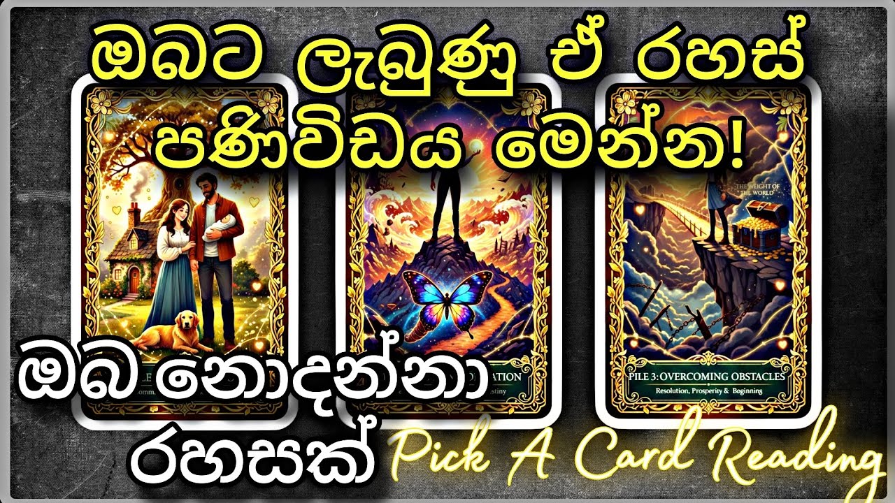 විශ්වයෙන් ඔබට ලැබුණු හදිසි පණිවිඩය 🌌 | Pick A Card Reading Sinhala 2026