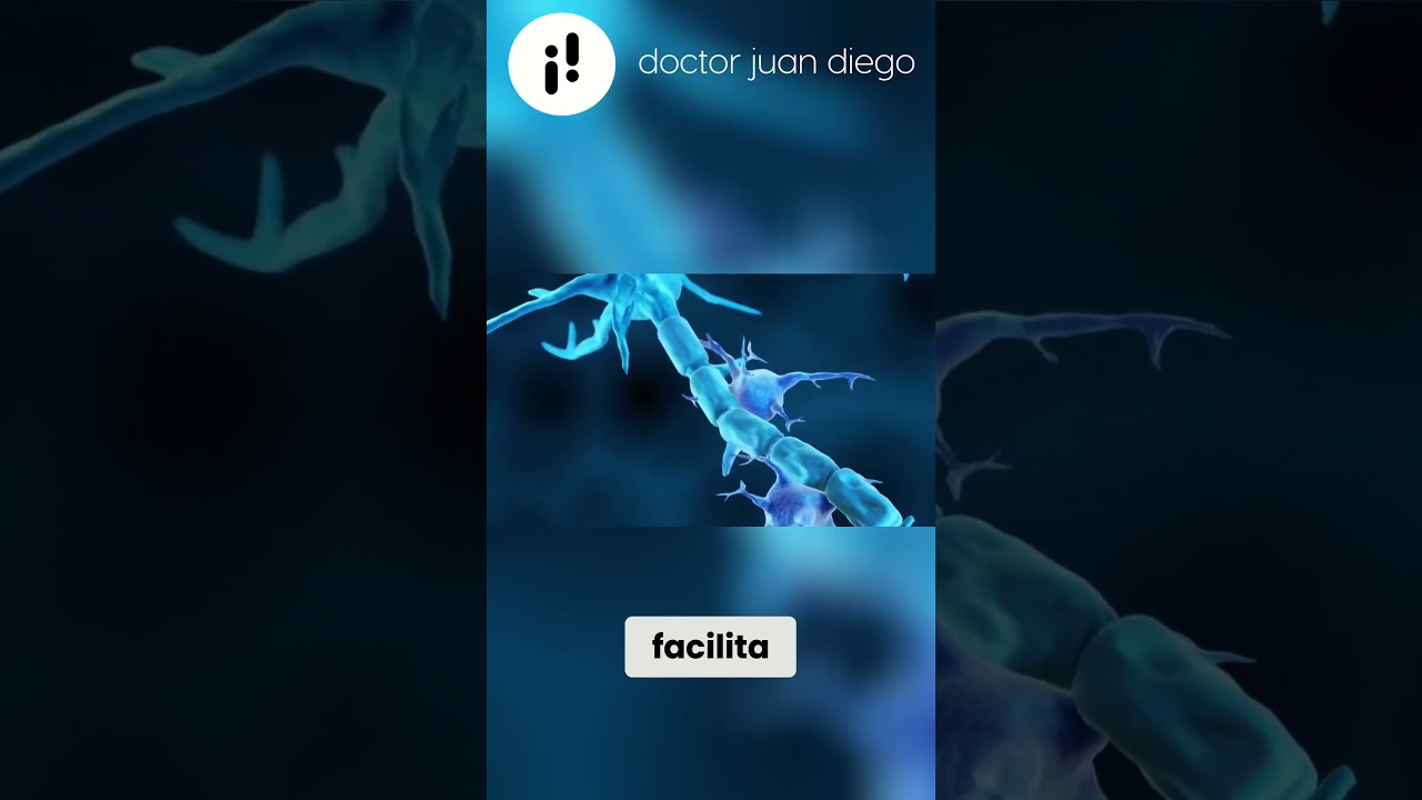 ¿Qué es la Neuropatía Periférica? ¡Descúbrelo!