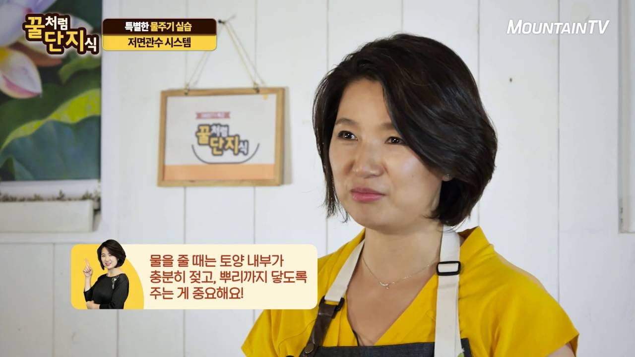 계절에 따라 물주는 시간대가 다르다?! | 원예고수되기#11 | 마운틴TV특강 꿀단지