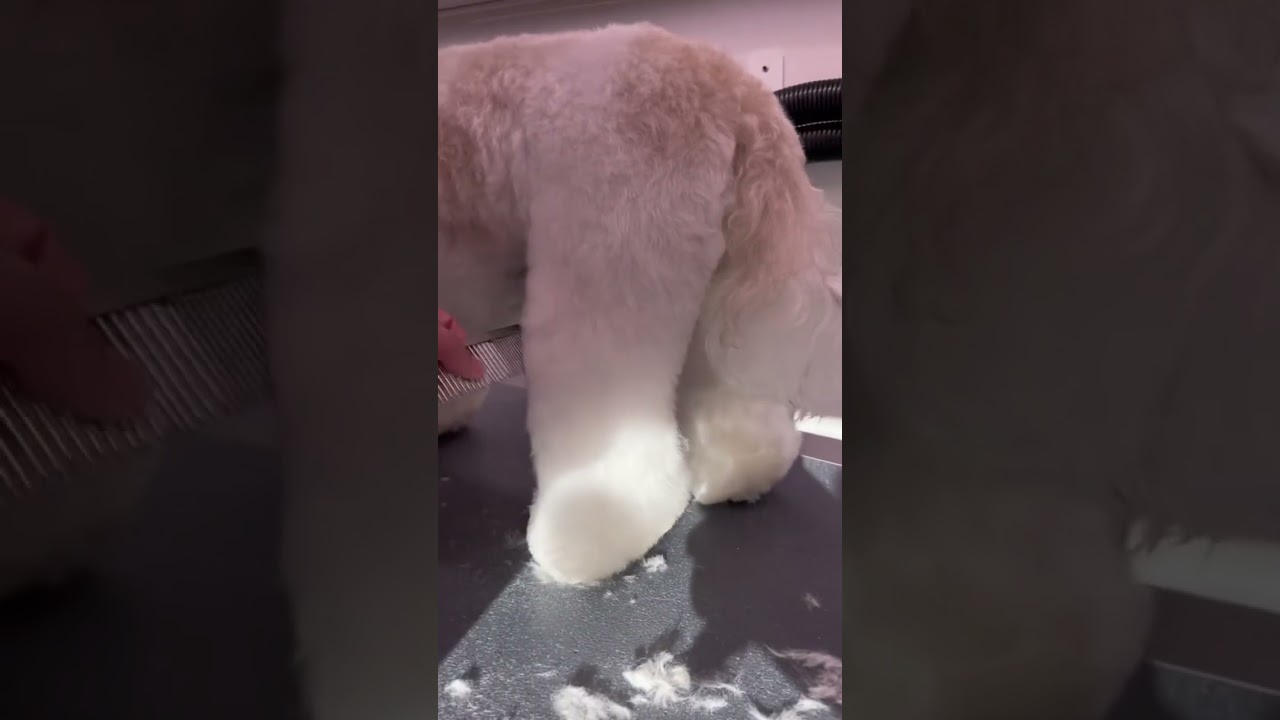 Nothing like shaping some teddy bear legs 🧸 