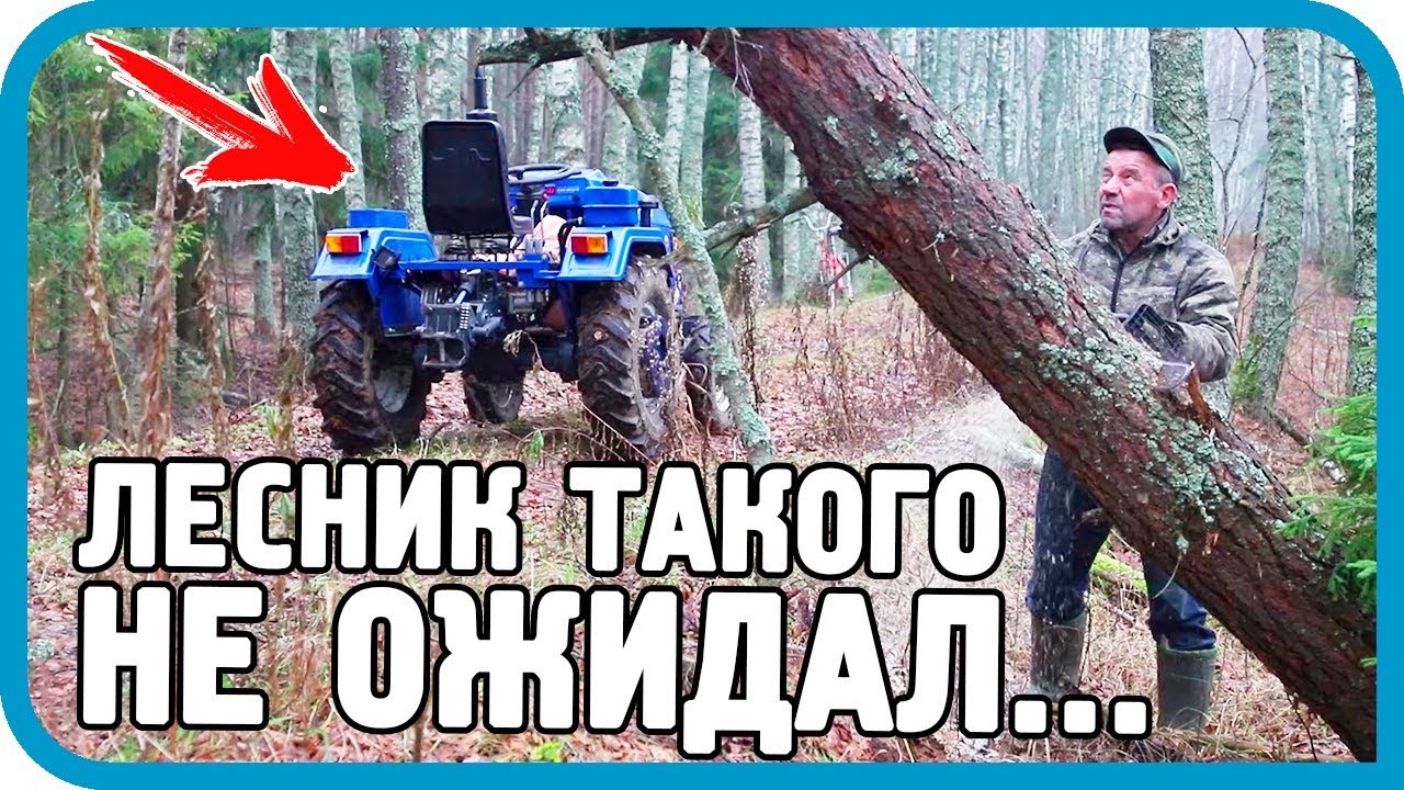 ЕДЕМ ЗА ТИТЯСТОЙ! УДИВИЛ ЛЕСНИКА ТРАКТОРОМ И КОММЕНТАРИЯМИ ЗРИТЕЛЕЙ!