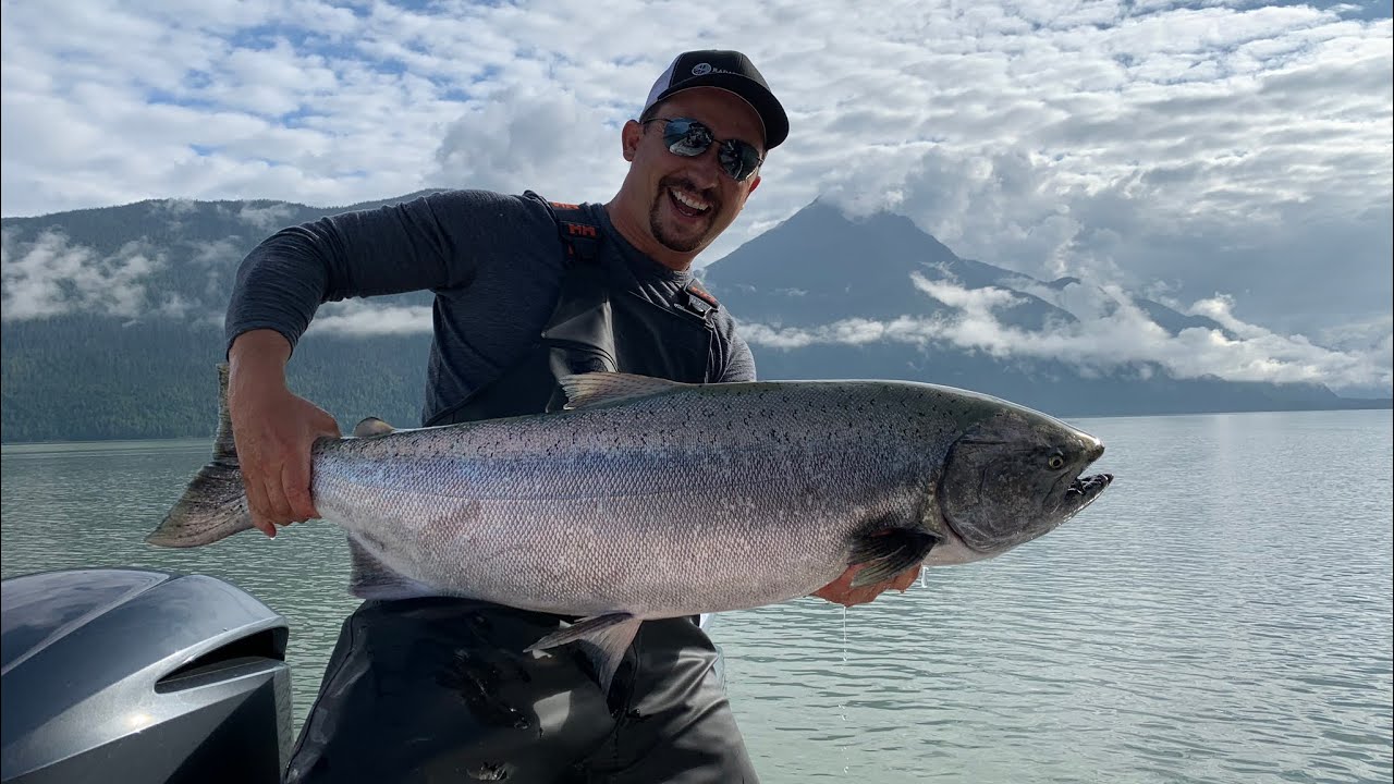 Monster Chinook Salmon in Rivers Inlet August 2020!!