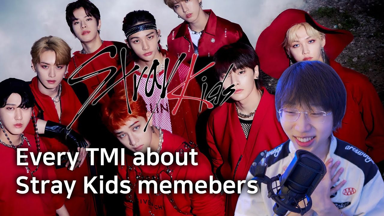 POV: you just started learning Stray Kids