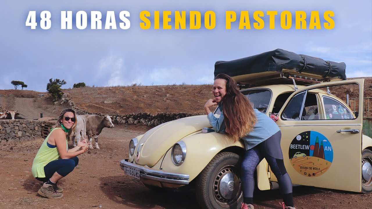 ✅EL HIERRO: 48 HORAS de RETO💥La Poca Ayuda a Los Pastores.[S1-E03]