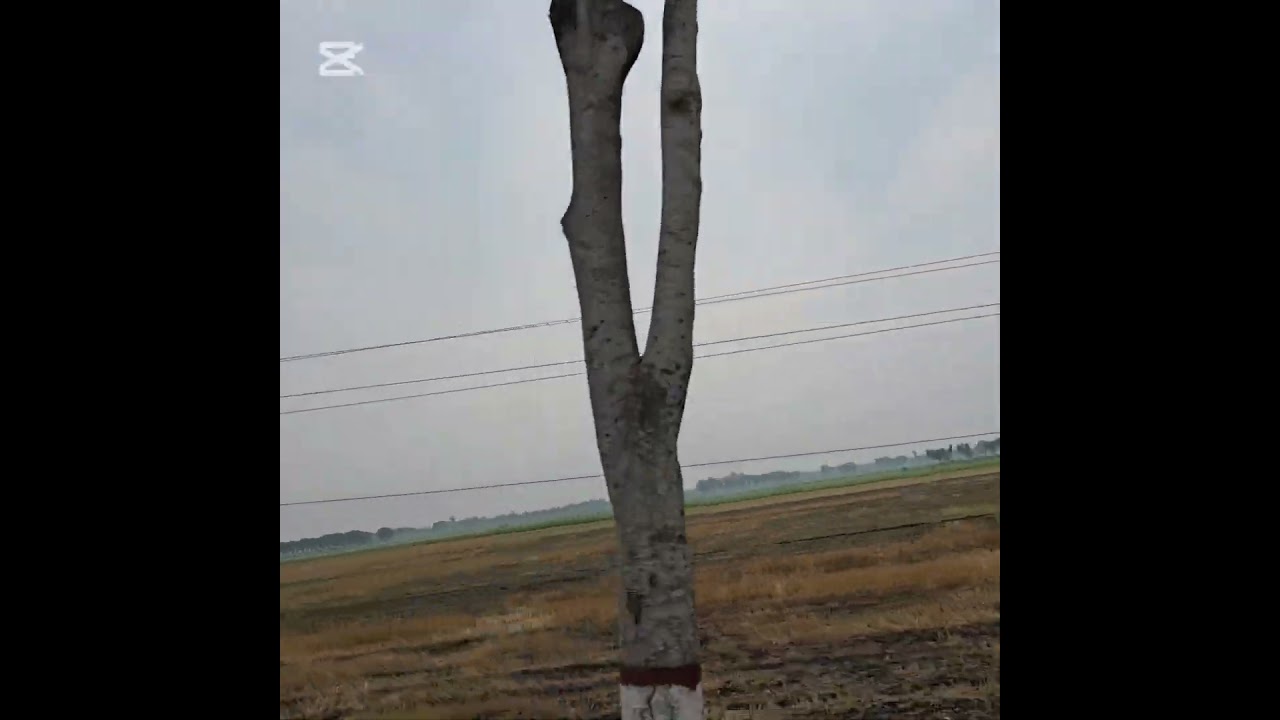 The largest agricultural farm in Asia. 
