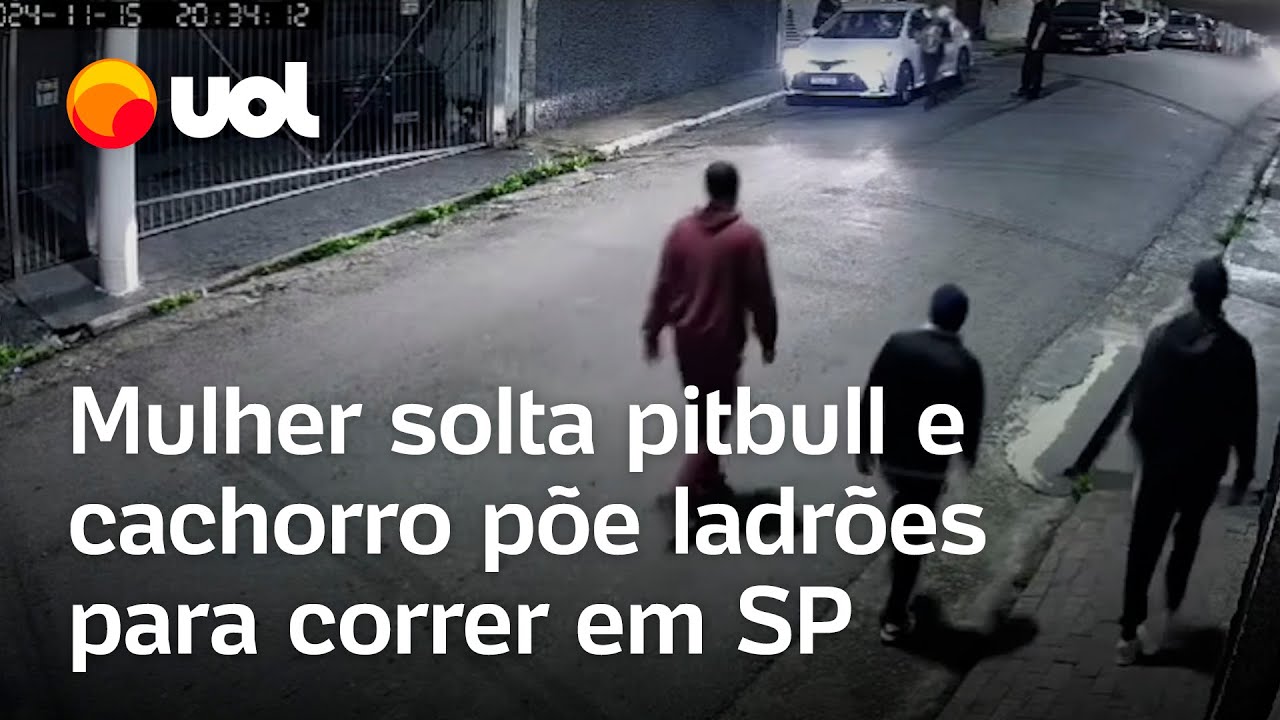 Pitbull expulsa ladr&otilde;es ap&oacute;s mulher solt&aacute;-lo para tentar impedir assalto em SP; v&iacute;deo mostra momento