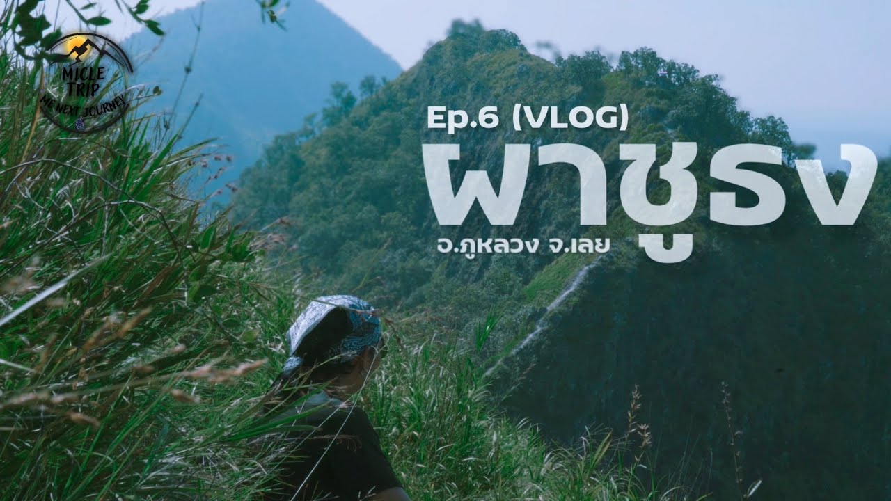 MicleTrip Ep.6 ผาชูธง  (อ.ภูหลวง จ.เลย) เดินเขาคนเดียว VLOG