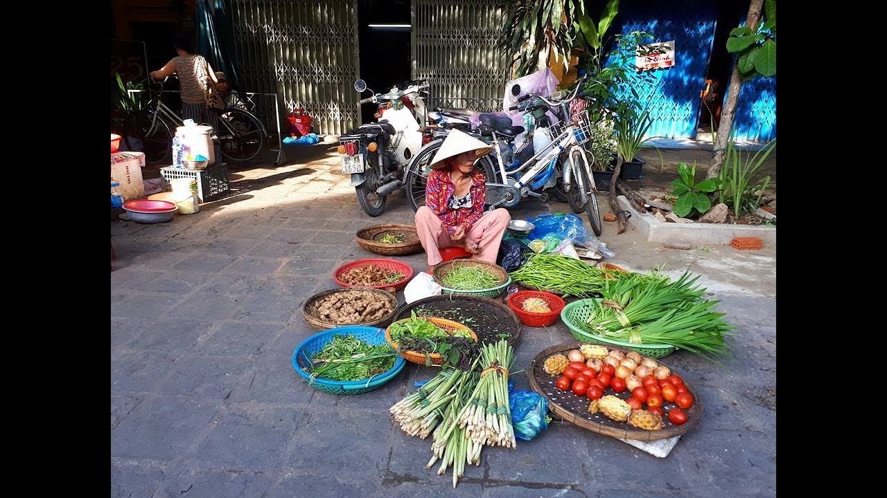 מרכז ויאטנם 🇻🇳 | שייט בטאם קוק ושבוע שלם בהוי אן המהממת!!