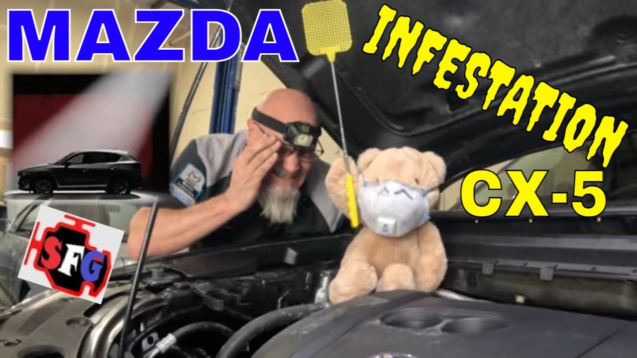 Mazda Infestation CX 5