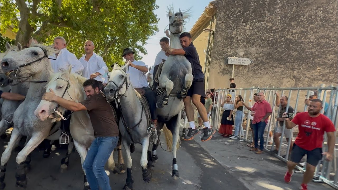 CAMPAGNE LONGUES 07/09/25