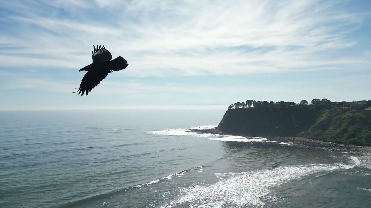 California Evening soundscapes from places you miss