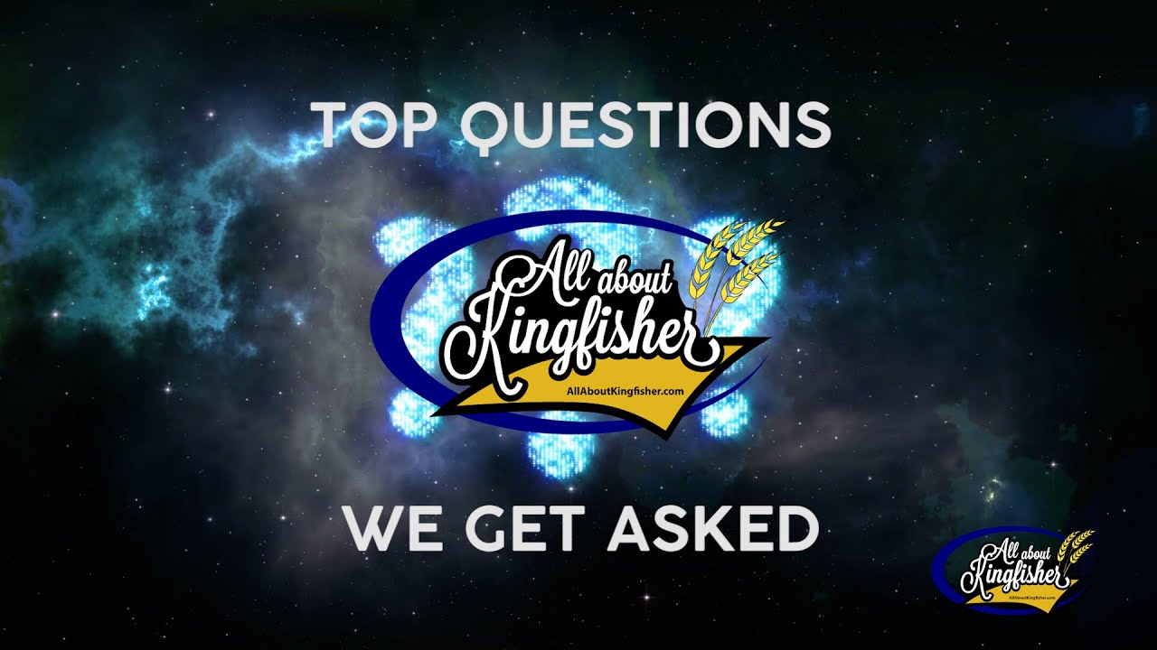 WHAT IS ALL ABOUT KINGFISHER? 1 of 30