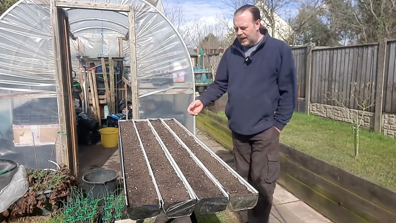 Allotment Update 17/3/23 Sowing Peas in Gutters