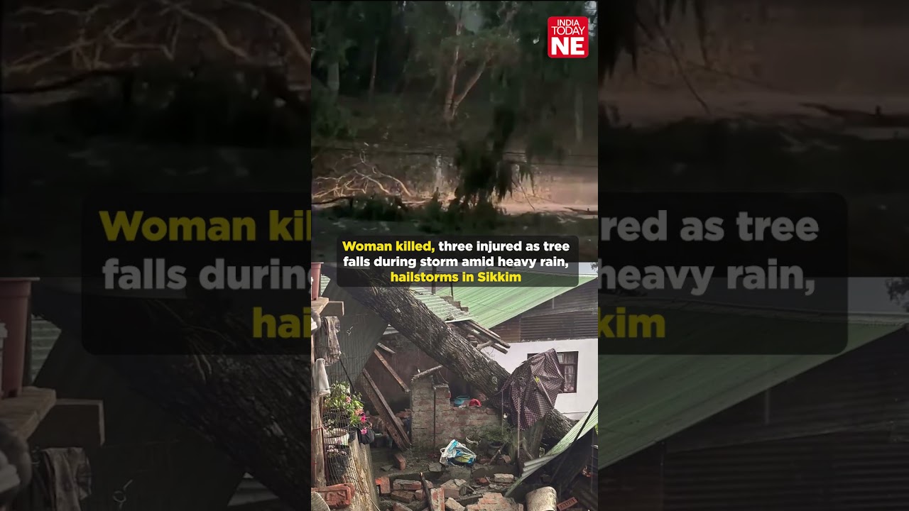 Woman killed, three injured as tree falls during storm amid heavy rain, hailstorms in Sikkim