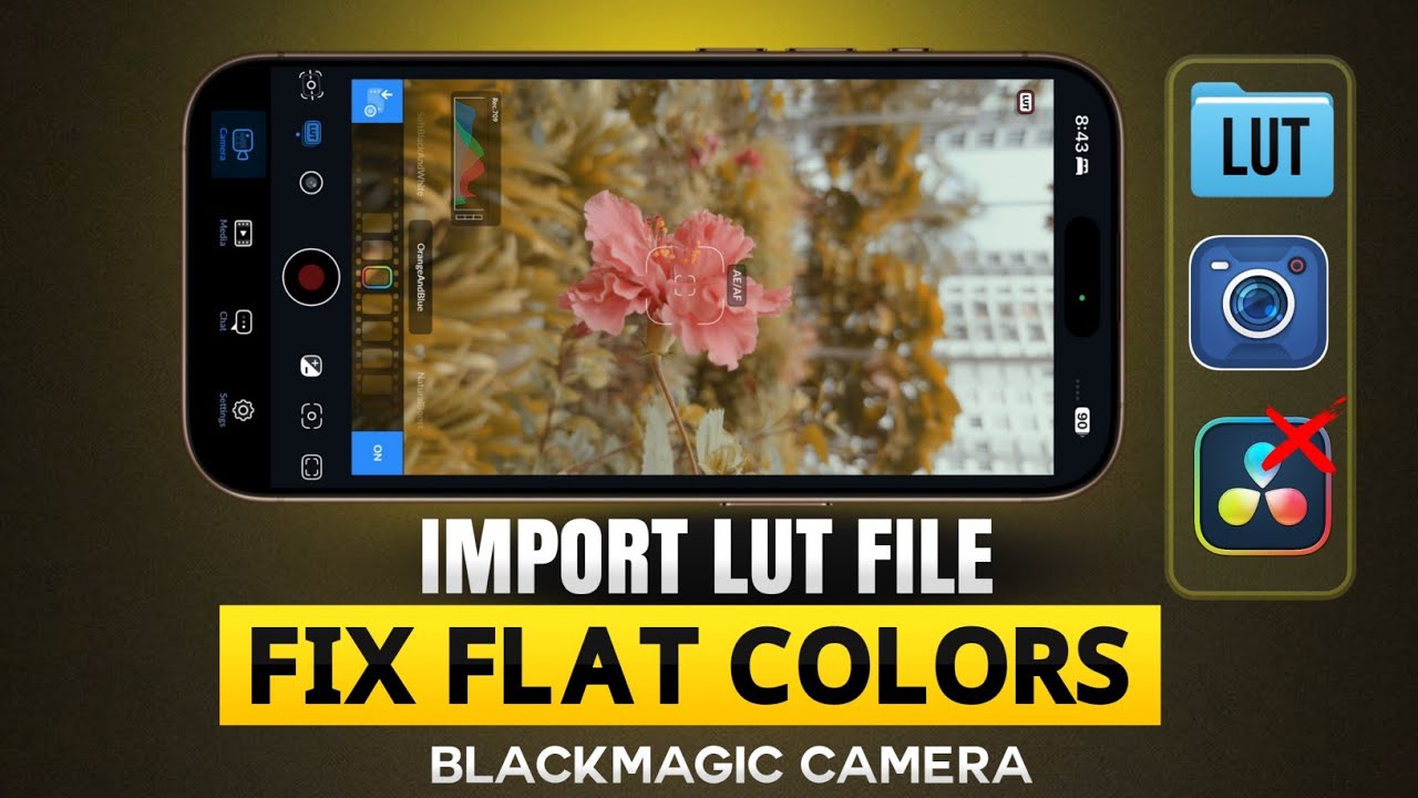 How to Import LUT File in Blackmagic Camera (Step-by-Step)