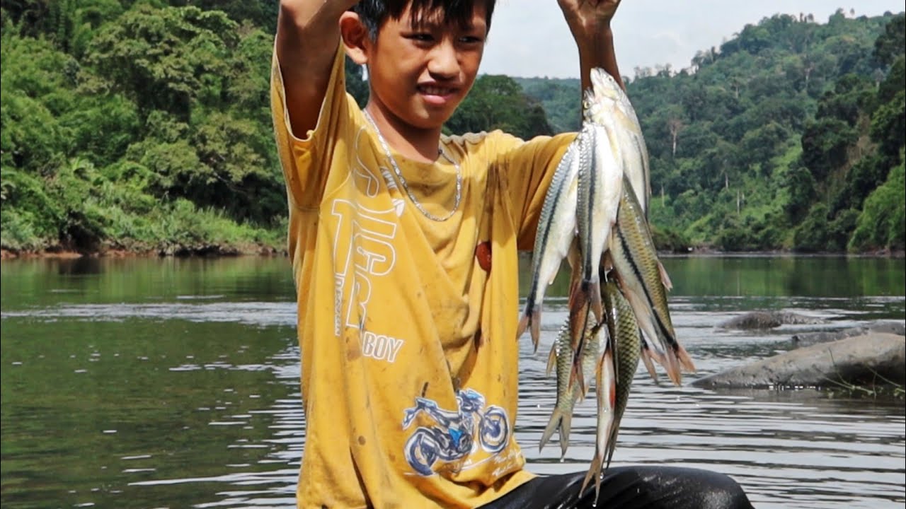 CÂU CÁ SUỐI MÙA NƯỚC LŨ | Con Cá Lòng Tong To Nhất Tôi Từng Thấy