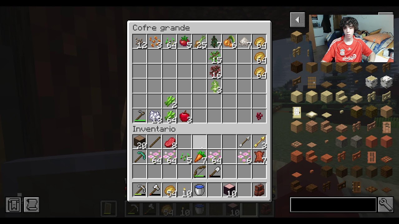 Minecraft #5
