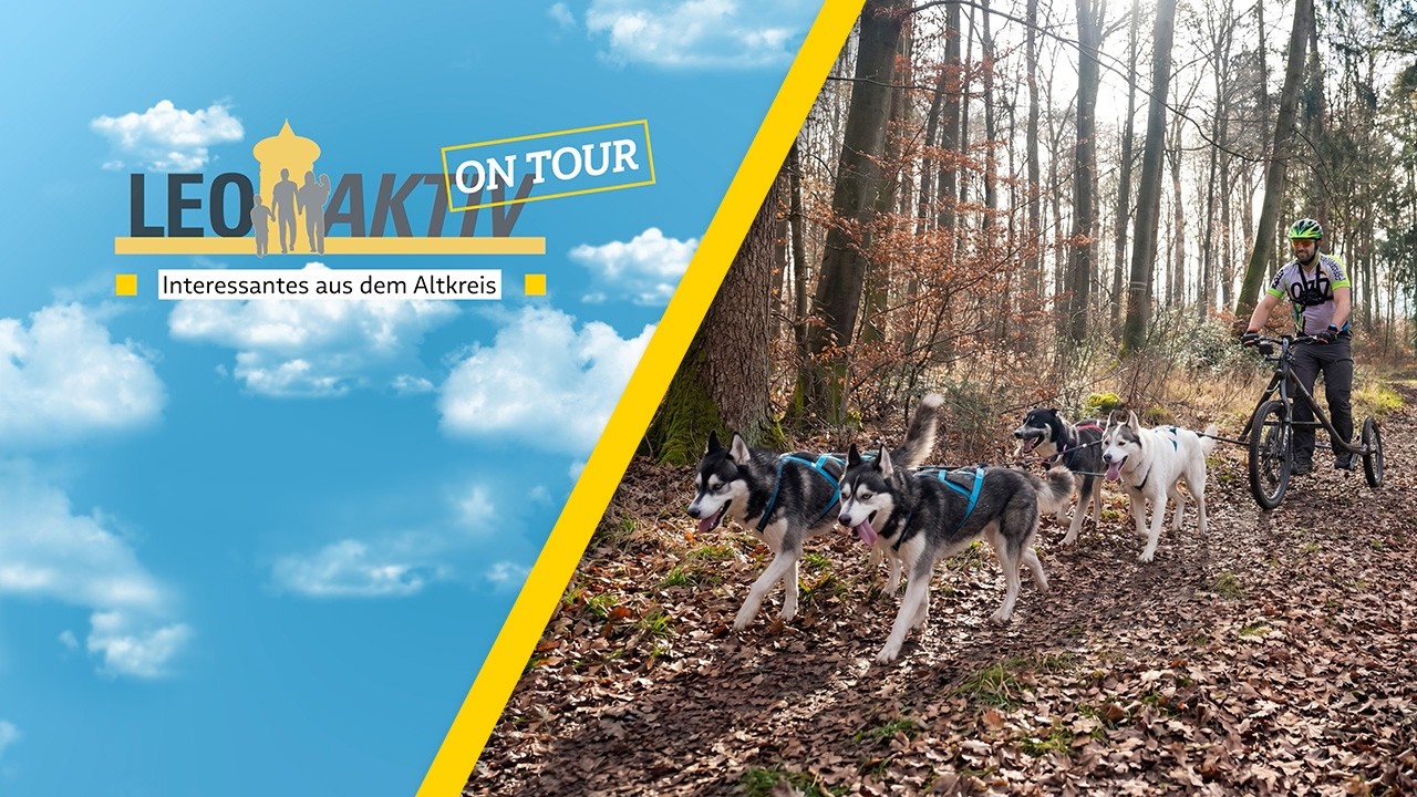 Zughundesport Schwabentrail 2026 | LEOAKTIV »on Tour« Folge 22