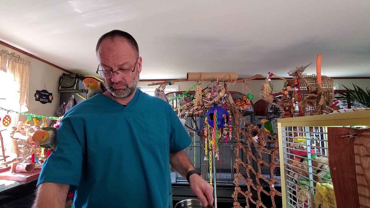 22 minutes of what it's like during a typical recess here at the Meadow...