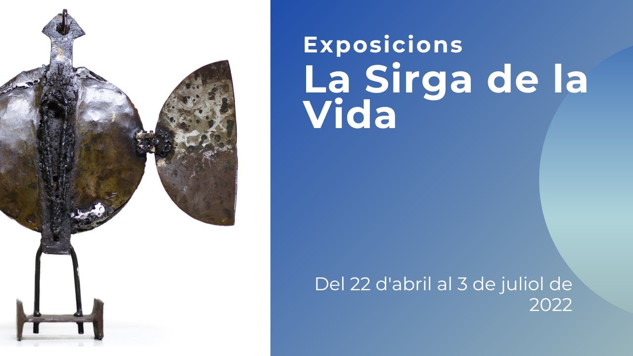 Exposici&oacute;: 