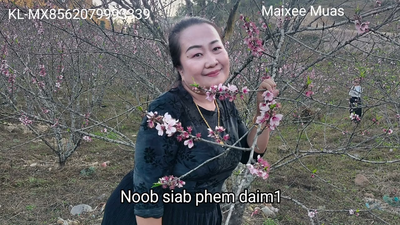 Noob siab phem daim1  2/28/2026
