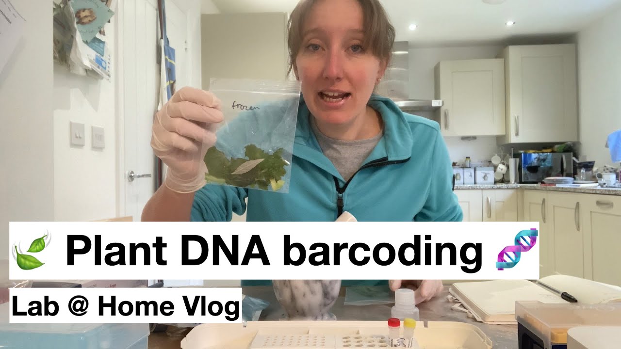 🍃 Plant DNA barcoding 🧬 (Lab @ Home)