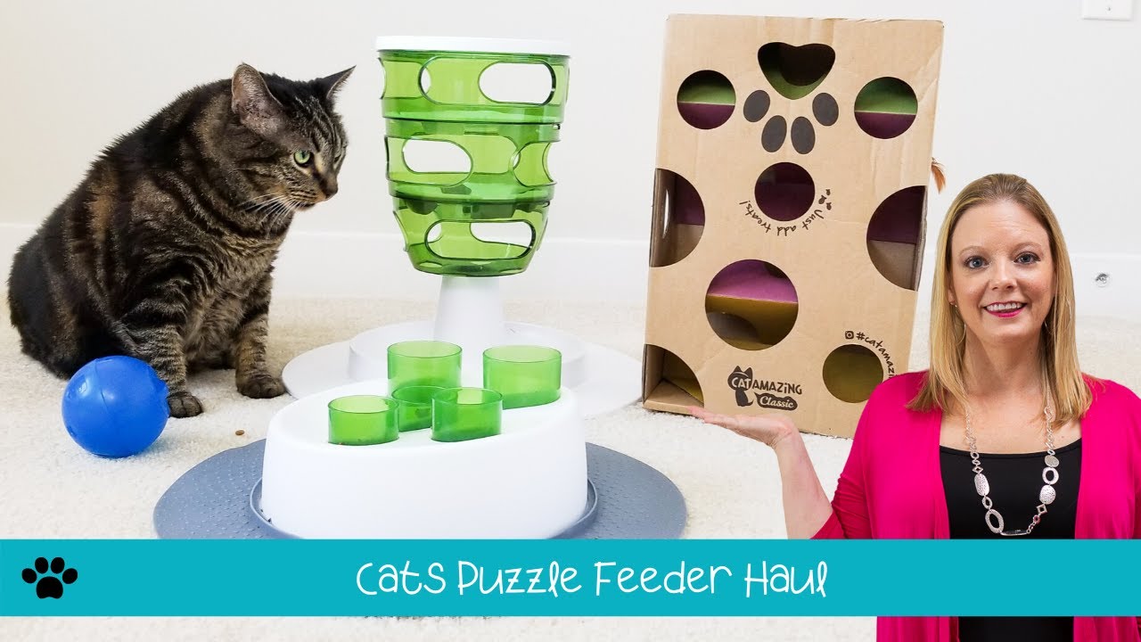 Cats Tested Puzzle Feeder Haul